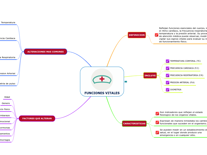 El Cuerpo Humano Y Las Funciones Vitales Mind Map The Best Porn Website